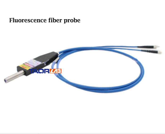 Raman Fiber Probe